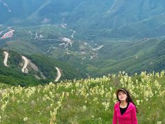 -白草畔自然风景区