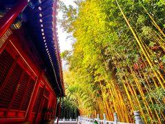 -潭柘寺景区