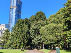 -墨尔本皇家植物园