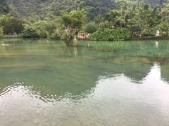 -靖西鹅泉风景区