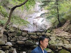 -王顺山国家森林公园