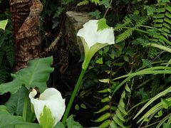 -国家植物园南园