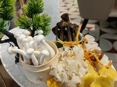-洪氏嗨捞·广东猪肚鸡·椰子鸡火锅(西咸万象城店)