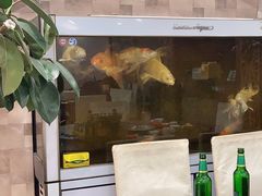 -马家烧麦(总店)