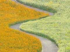 -中国天府农业博览园