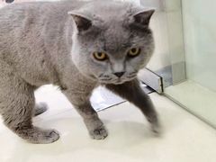 -佳雯宠物医院(金华南路分院)