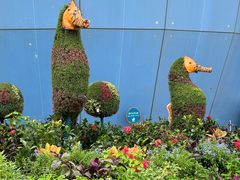 -香港海洋公园