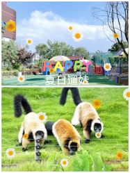 -萌宠亲子动物乐园(槐房万达店)