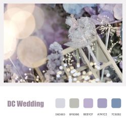 点击看大图 -DC大蔡婚礼策划(李公堤店)