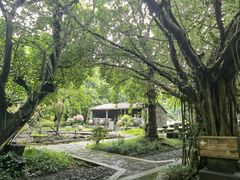 -海口火山口国家地质公园