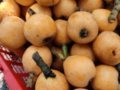 -塘栖枇杷特色园区