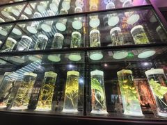 -广东中医药博物馆
