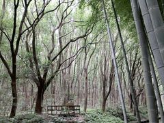 -同里国家湿地公园