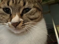 -山城年华老火锅(玉林店)