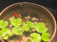 -曲水兰亭(北京四惠店)