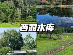 -深圳湾公园(南山区)