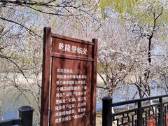 -桃花堤公园