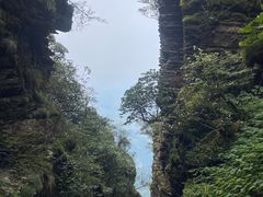 -梵净山旅游区