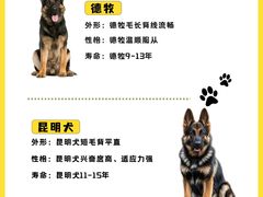 -翊宠yipet猫狗购宠庄园