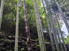 -夏霖九天银瀑风景区