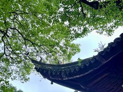 -西园戒幢律寺