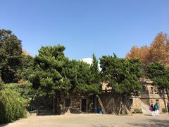 -紫金山天文台