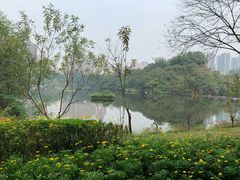 -重庆彩云湖湿地公园