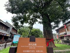 -青州古城
