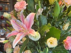 -悦百味·品质川菜(橄榄郡店)