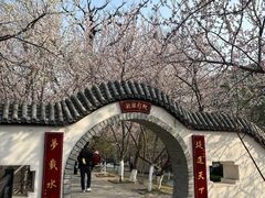 -桃花堤公园