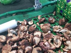 -美廉美多点(新龙店)