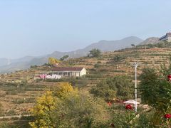 -密云玫瑰情园