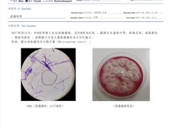 -美联众合动物医院·24h转诊中心