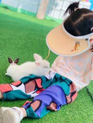 -萌宠亲子动物乐园(槐房万达店)