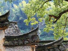 -杨家堂村