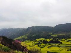 -牛街螺丝田
