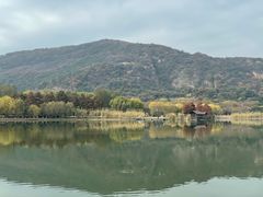 -长广溪湿地公园