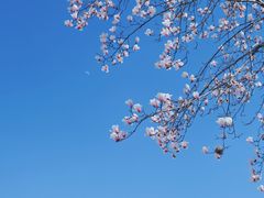 -西湖文化广场