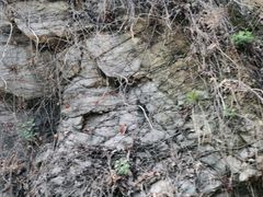 -秦岭终南山世界地质公园翠华山景区