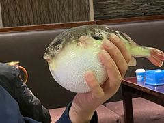 -永安鱼庄·镇江菜(东吴路店)