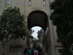 -武汉大学-樱园