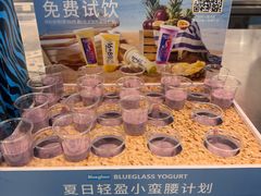 -Blueglass酸奶(财富购物中心店)