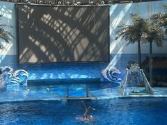 -海合安成都极地海洋公园