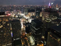 -东京都厅舍