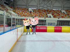 -松江大学城体育馆滑冰馆