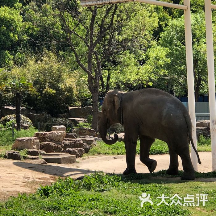 无锡动物园·太湖欢乐园