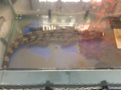 -味芝树·牛排烤肉自助(海亮店)