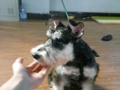 -拳盛时代拳击俱乐部(北京路店)