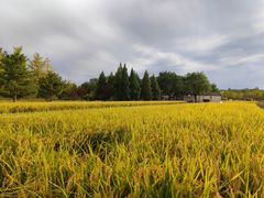 -北坞公园