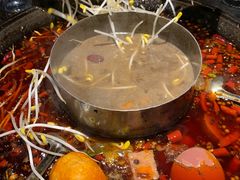-渝涯重庆豆花老火锅(中赢国际店)